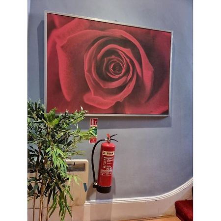 F301-Awesome 3Rd Flr Studio Fits 1 Near Hyde Park London Eksteriør bilde