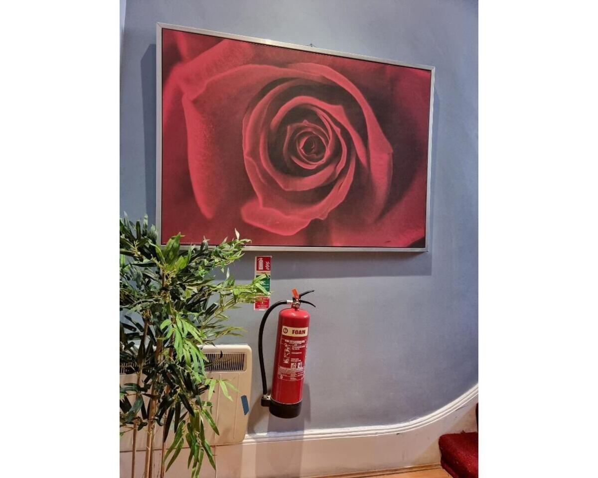 F301-Awesome 3Rd Flr Studio Fits 1 Near Hyde Park London Eksteriør bilde